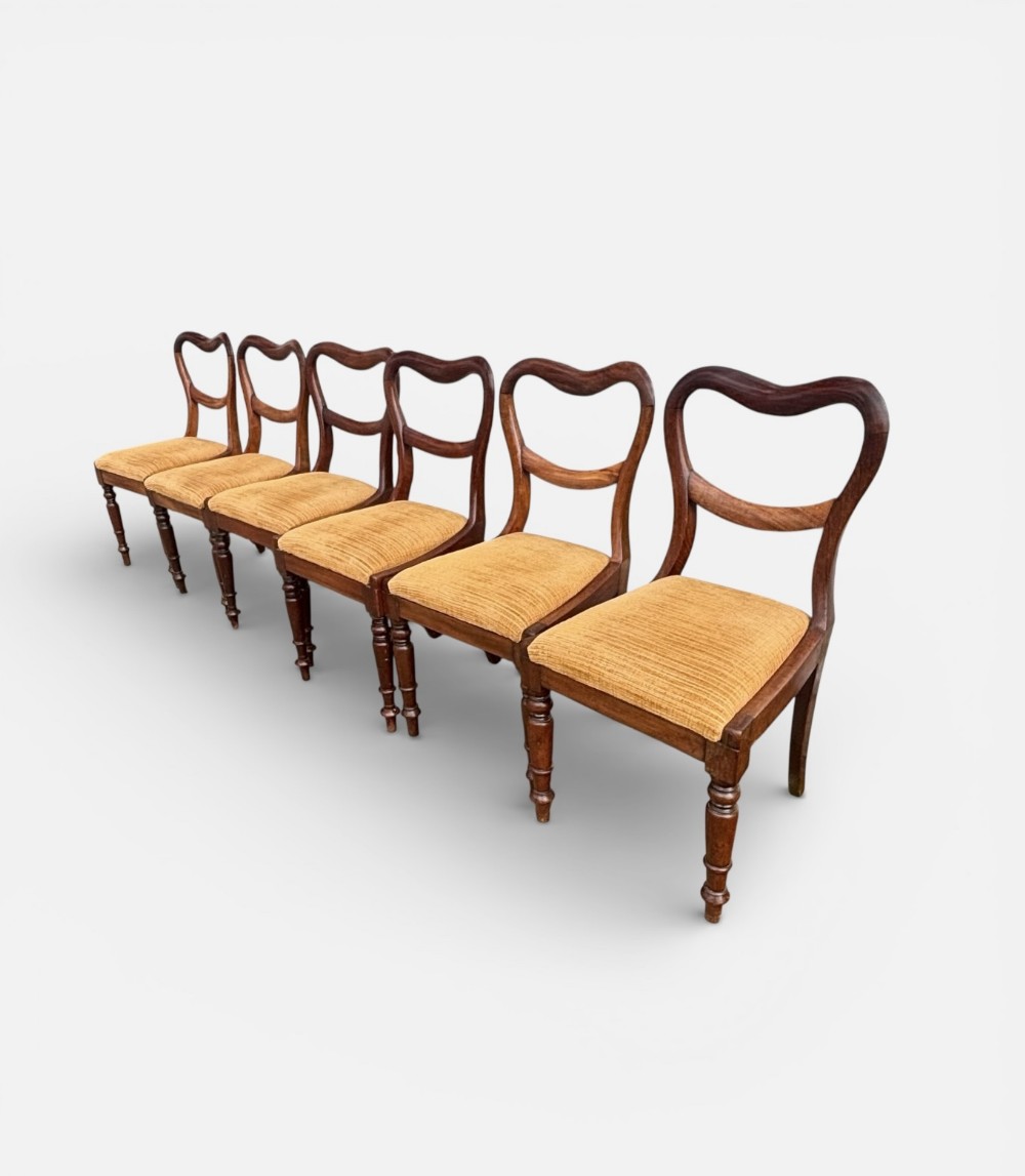 A set of six early Victorian balloon back dining chairs made of dark mahogany wood with mustard yellow textured seats.