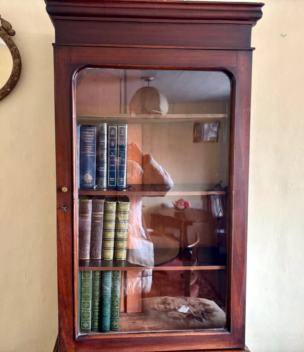 Tall and narrow 19th century mahogany bookcase View V