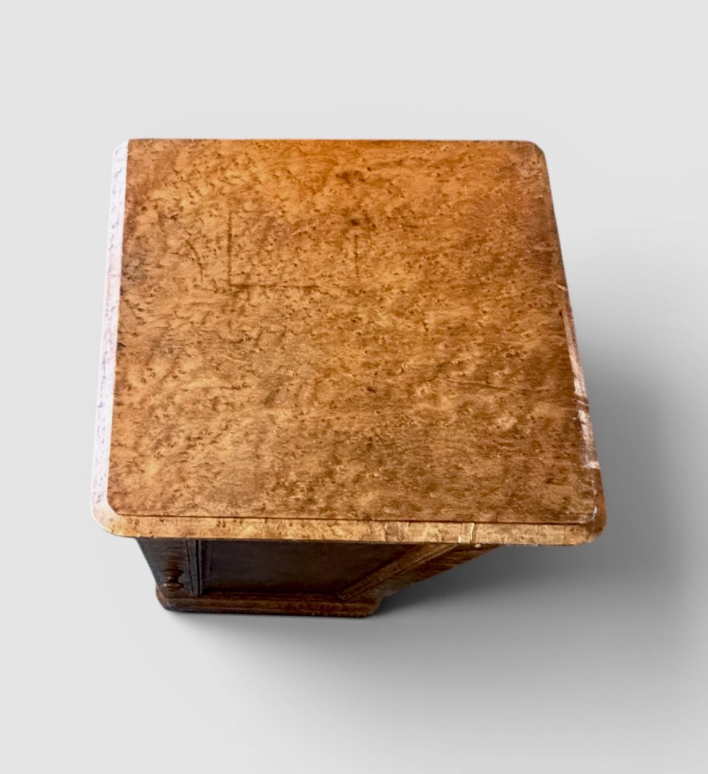 A 19th-century birds eye maple pedestal cupboard featuring a panelled door, turned wooden knob, and plinth base. View IV