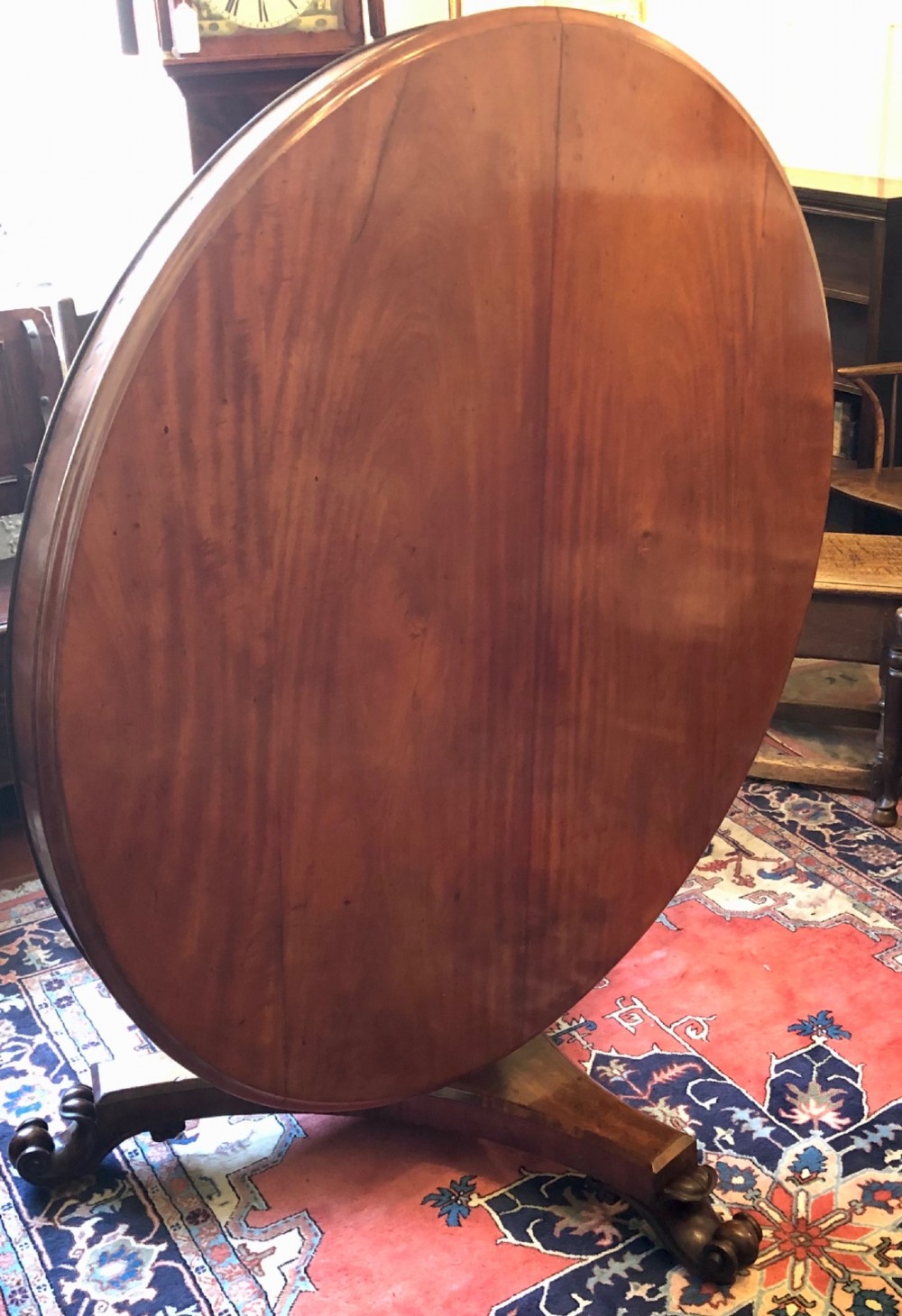 Large Regency figured mahogany tilt top round dining table View VI