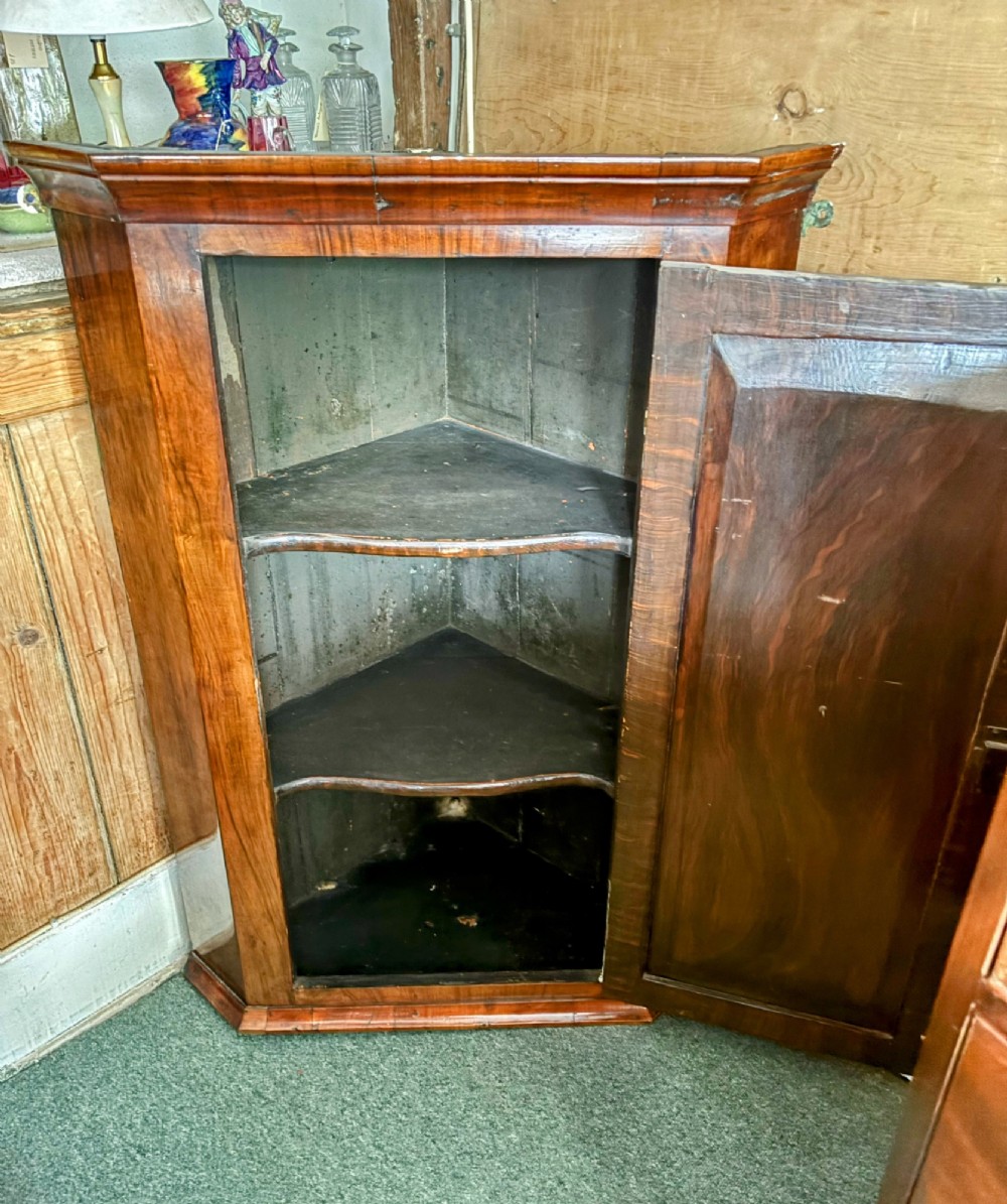 A George III walnut corner cupboard featuring a single panelled door with figured wood grain, brass H-hinges, and moulded cornice details. View V