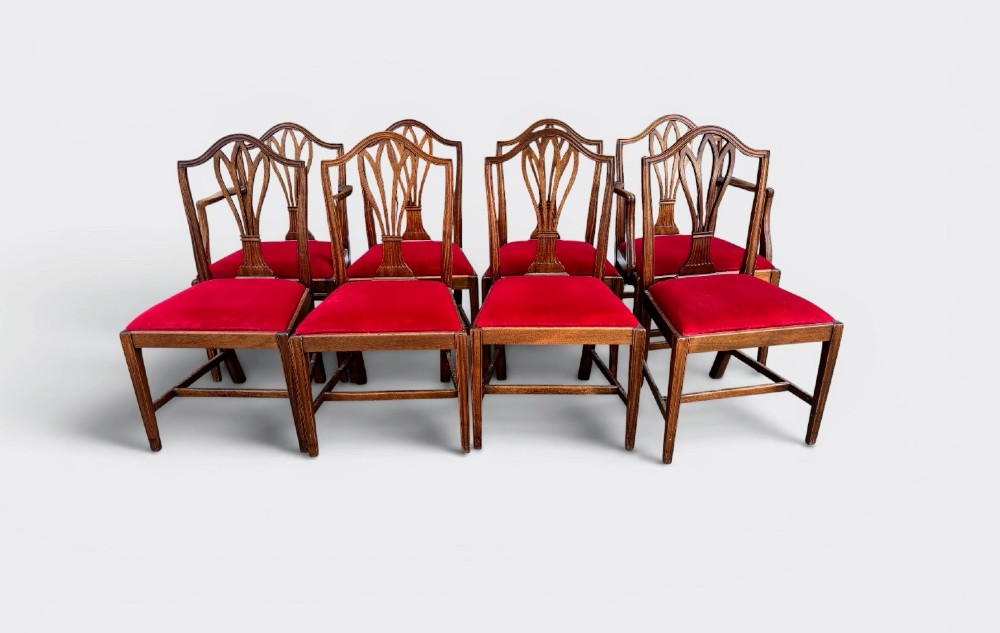 A set of eight George III mahogany dining chairs featuring carved wheat sheaf back splats and red velvet seats.