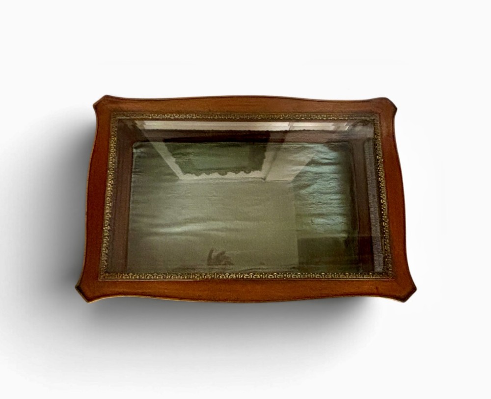 A 19th-century walnut vitrine display table featuring glass side panels, decorative metal mounts, and slender cabriole legs. View V