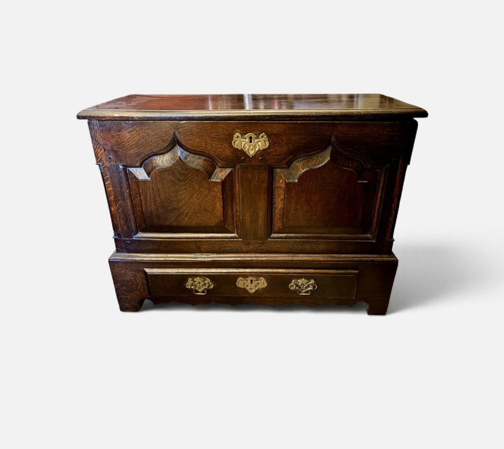 A 19th-century dark oak coffer bach featuring arched fielded panels, brass escutcheon, and a single lower drawer.