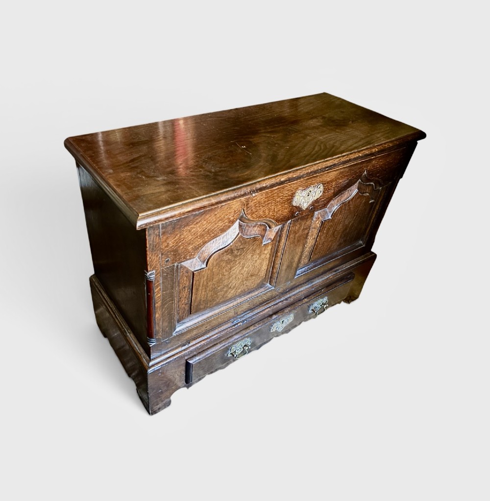 A 19th-century dark oak coffer bach featuring arched fielded panels, brass escutcheon, and a single lower drawer. View II