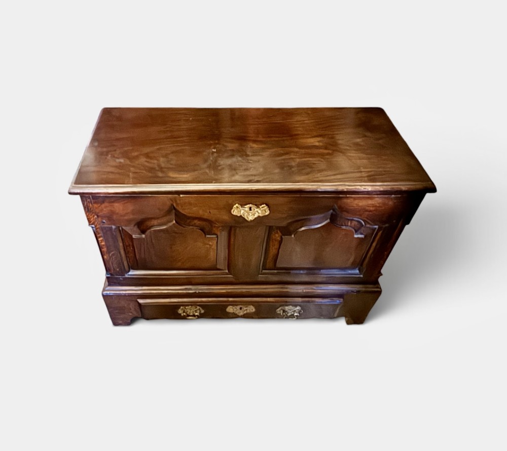 A 19th-century dark oak coffer bach featuring arched fielded panels, brass escutcheon, and a single lower drawer. View III