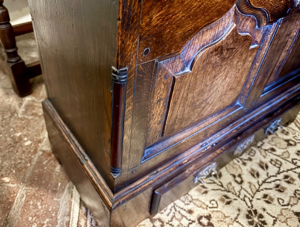 A 19th-century dark oak coffer bach featuring arched fielded panels, brass escutcheon, and a single lower drawer. View IV