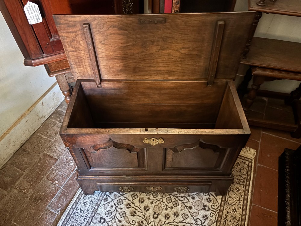 A 19th-century dark oak coffer bach featuring arched fielded panels, brass escutcheon, and a single lower drawer. View V