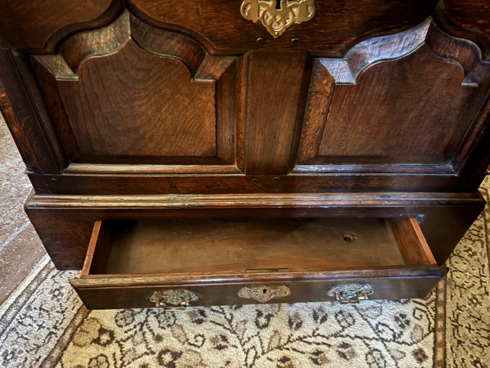 A 19th-century dark oak coffer bach featuring arched fielded panels, brass escutcheon, and a single lower drawer. View VI