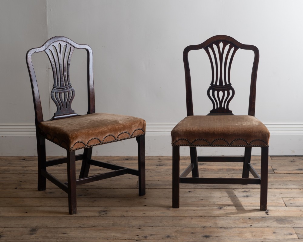 A pair of antique dark mahogany side chairs featuring pierced splats, straight square legs, and brown velvet upholstered seats trimmed with decorative brass studs.