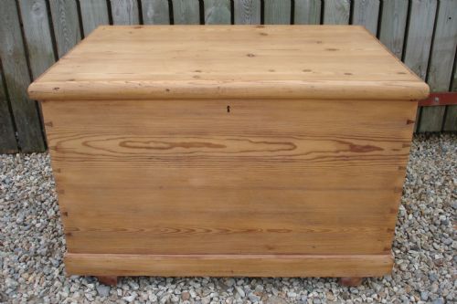 Large Pine Trunk