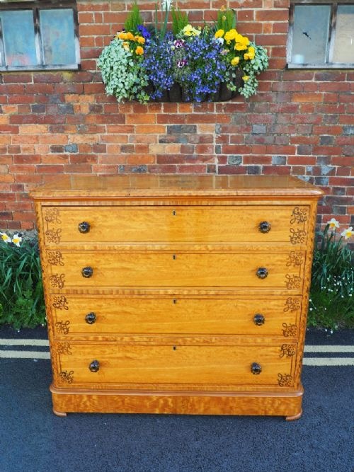 Inlaid Satin Birch Chest of Drawers