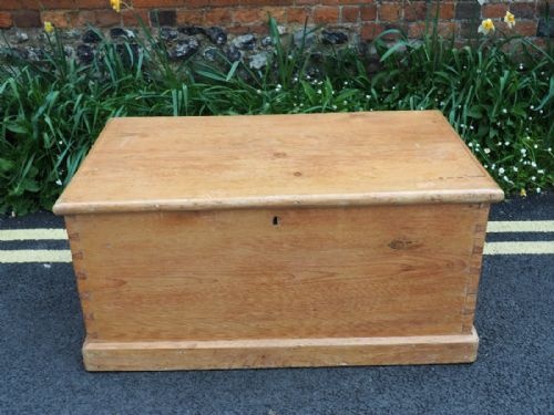 Victorian Pine Trunk
