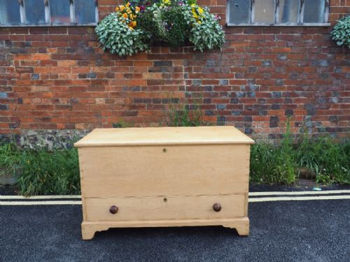 Large Pine Mule Chest