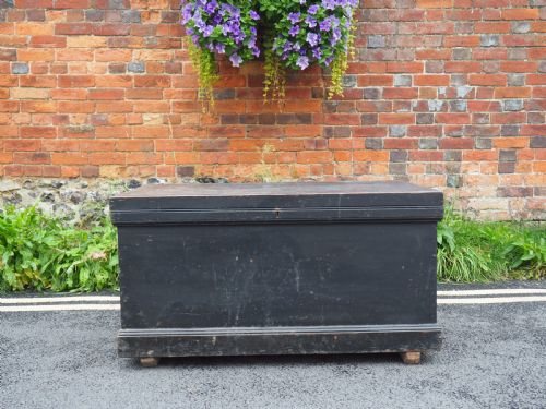 Painted Trunk