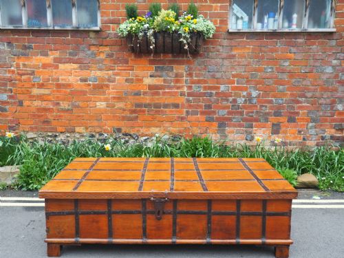 Very Large Indian Teak Trunk