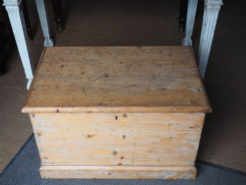 Victorian Pine Trunk