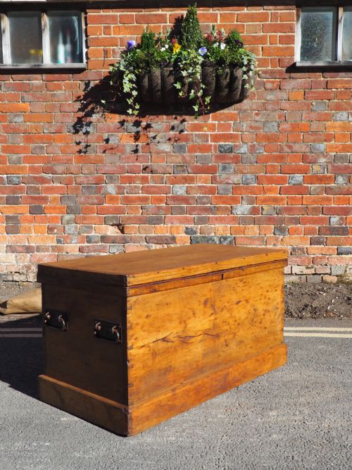 Victorian Pine Trunk