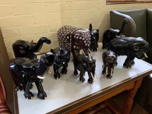 Group of Elephants