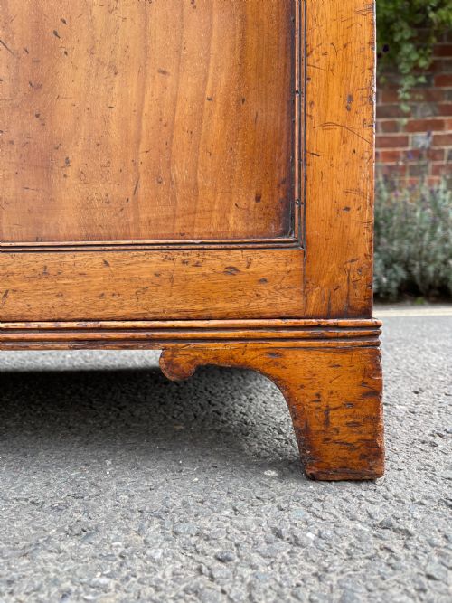 GEORGIAN MAHOGANY CUPBOARD - ADDITIONAL PHOTO 9