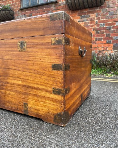 NINETEENTH CENTURY CAMPHOR TRUNK - ADDITIONAL PHOTO 3