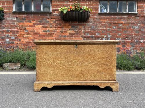 pine trunk in original paint - CATEGORY: ANTIQUE CHESTS - DATED 19TH CENTURY