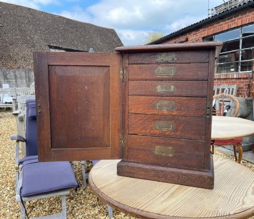 late victorian oak collectors chest - CATEGORY: ANTIQUE CABINETS - DATED 1890