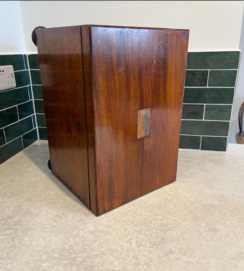 NINETEENTH CENTURY MAHOGANY BOX - ADDITIONAL PHOTO 4