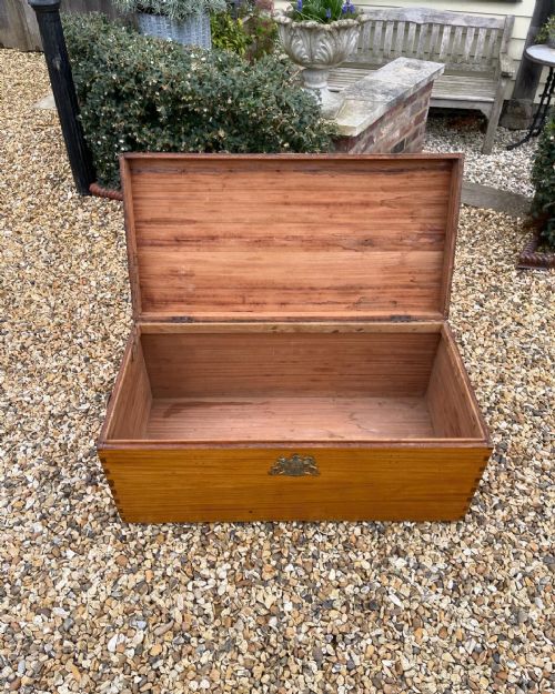 CAMPHOR TRUNK - ADDITIONAL PHOTO 1