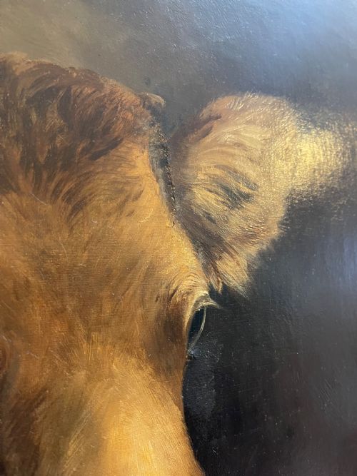 PORTRAIT OIL OF COW - ADDITIONAL PHOTO 3