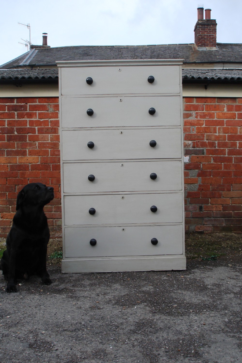 Victorian painted pine chest