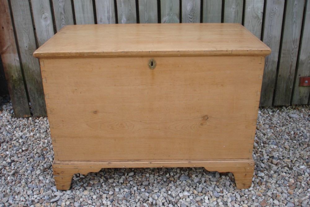 Nineteenth century pine trunk
