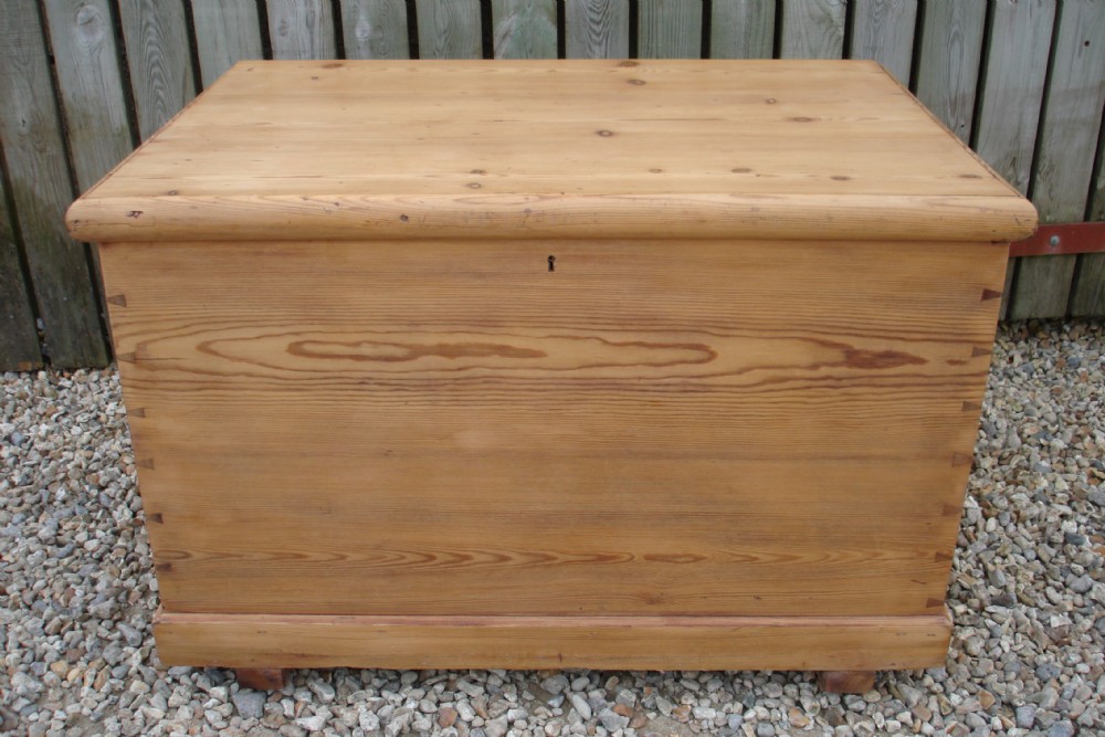 Large pine trunk