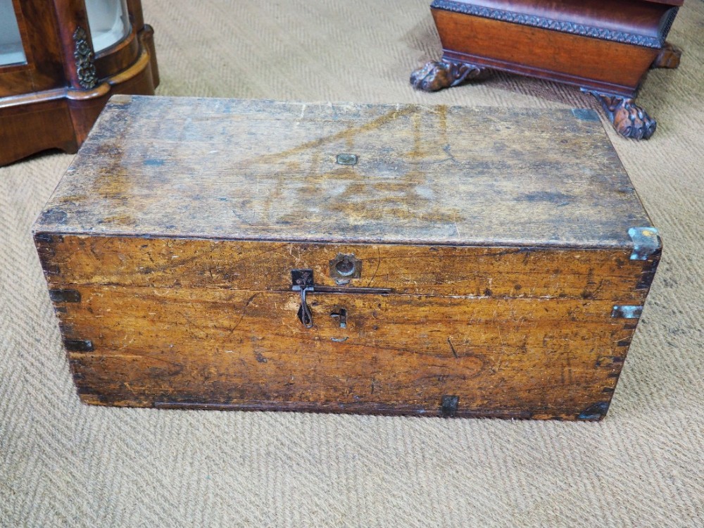 Camphor trunk