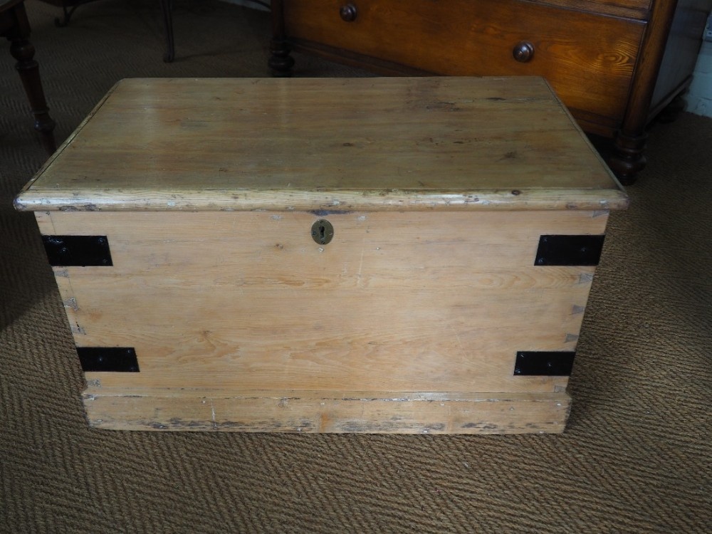 Victorian pine trunk
