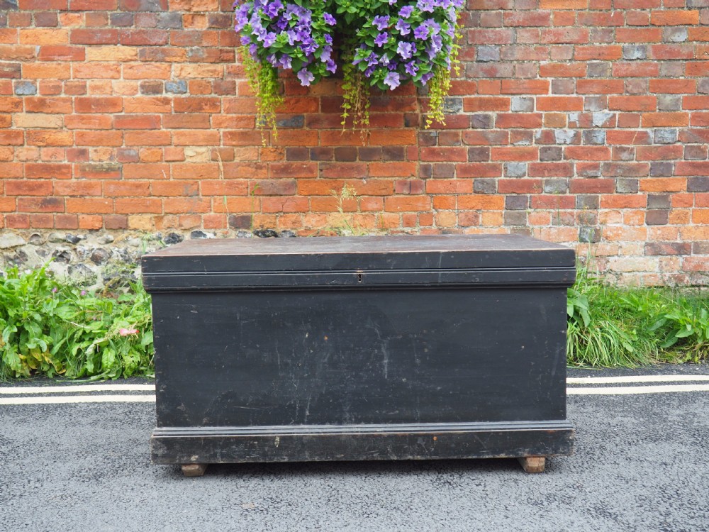 Painted trunk