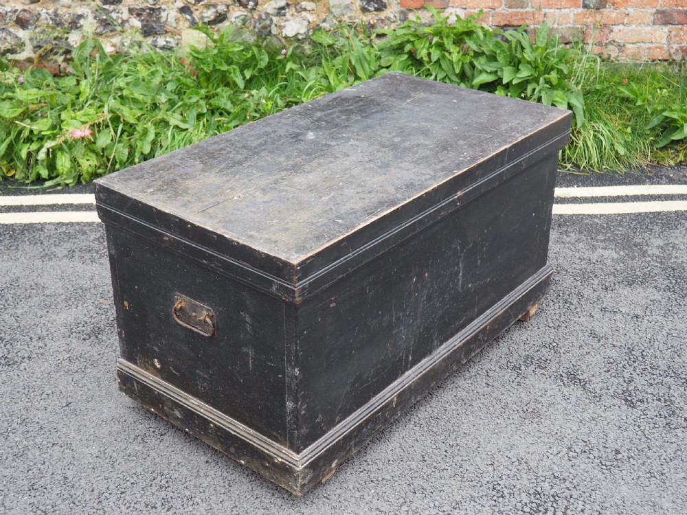 Painted trunk View II