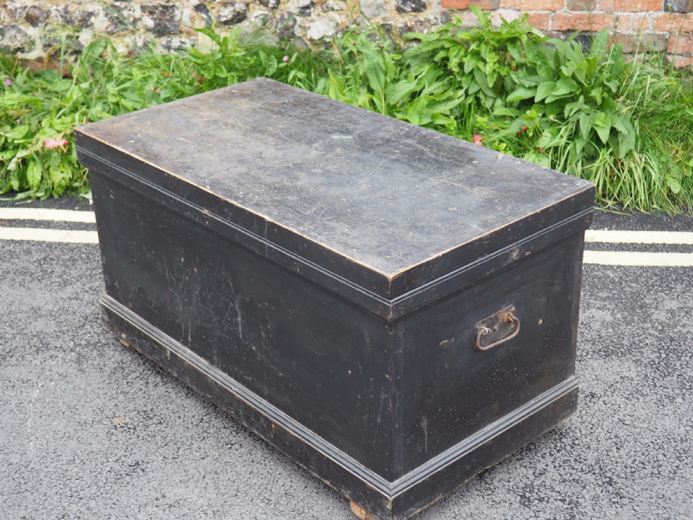 Painted trunk View III