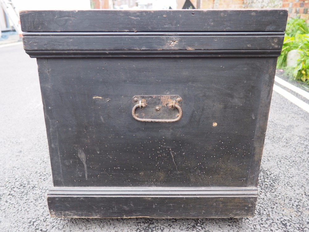 Painted trunk View VI