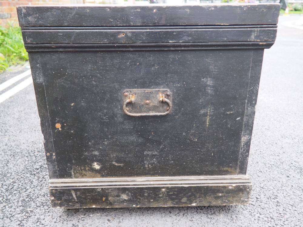 Painted trunk View VII