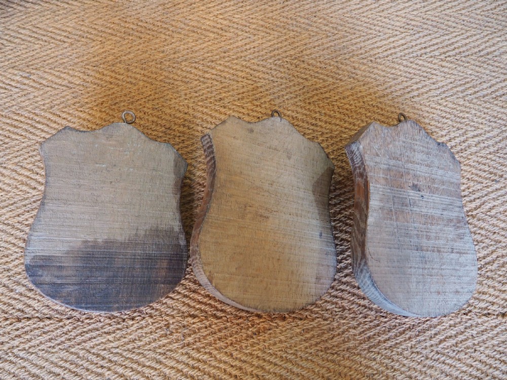 Three oak hooks View II