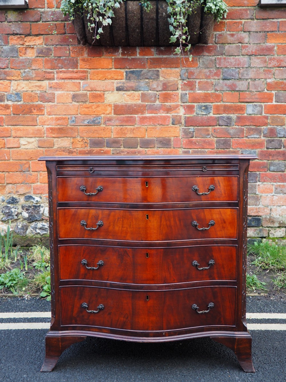 Mahogany serpentine chest View III