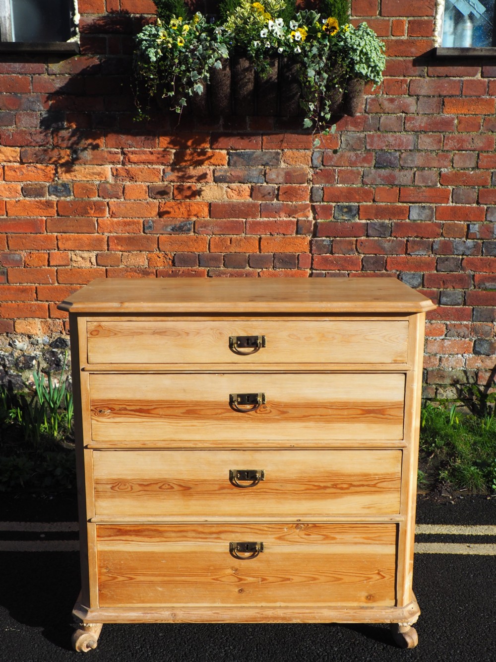 Nineteenth century Pine chest