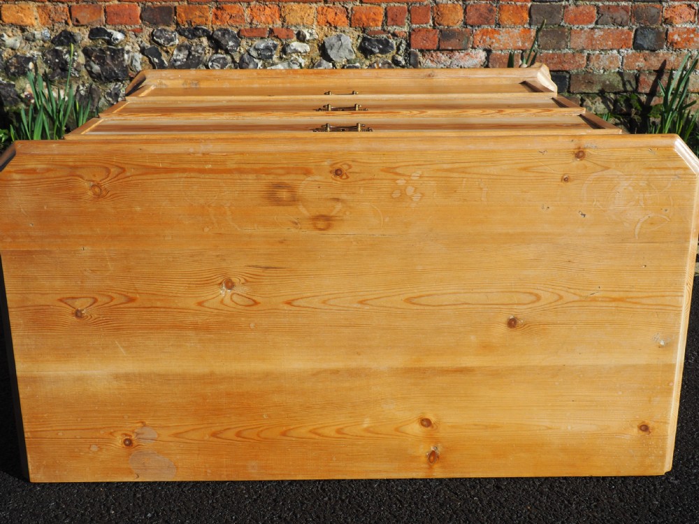 Nineteenth century Pine chest View VIII