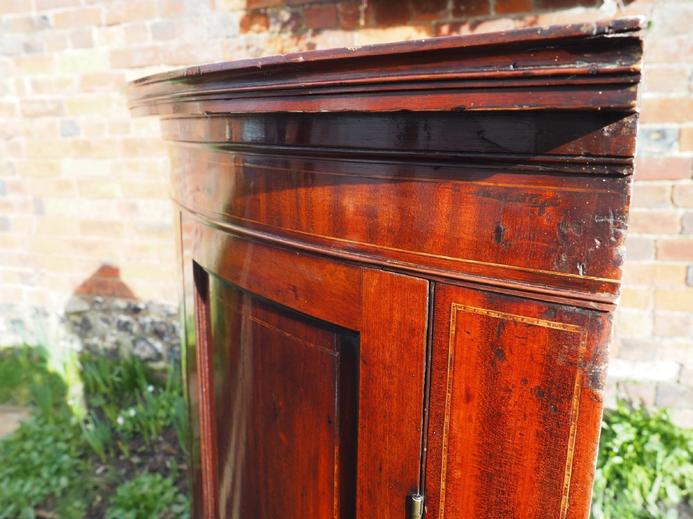 Georgian mahogany bowfronted hanging corner cupboard View IX