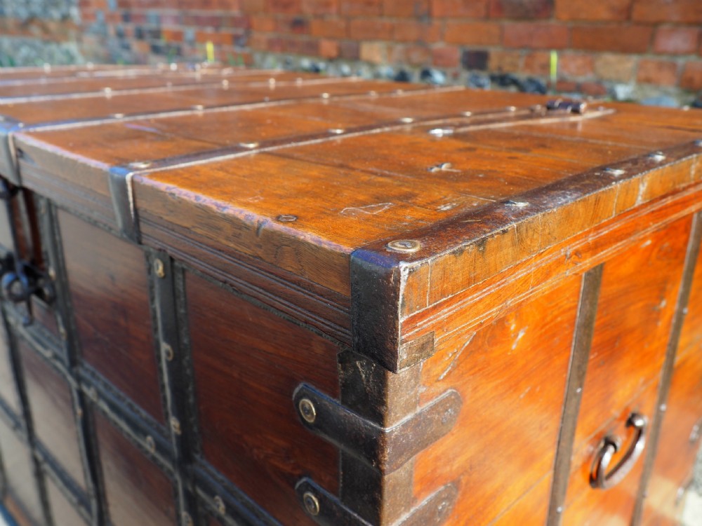 Indian teak trunk View II