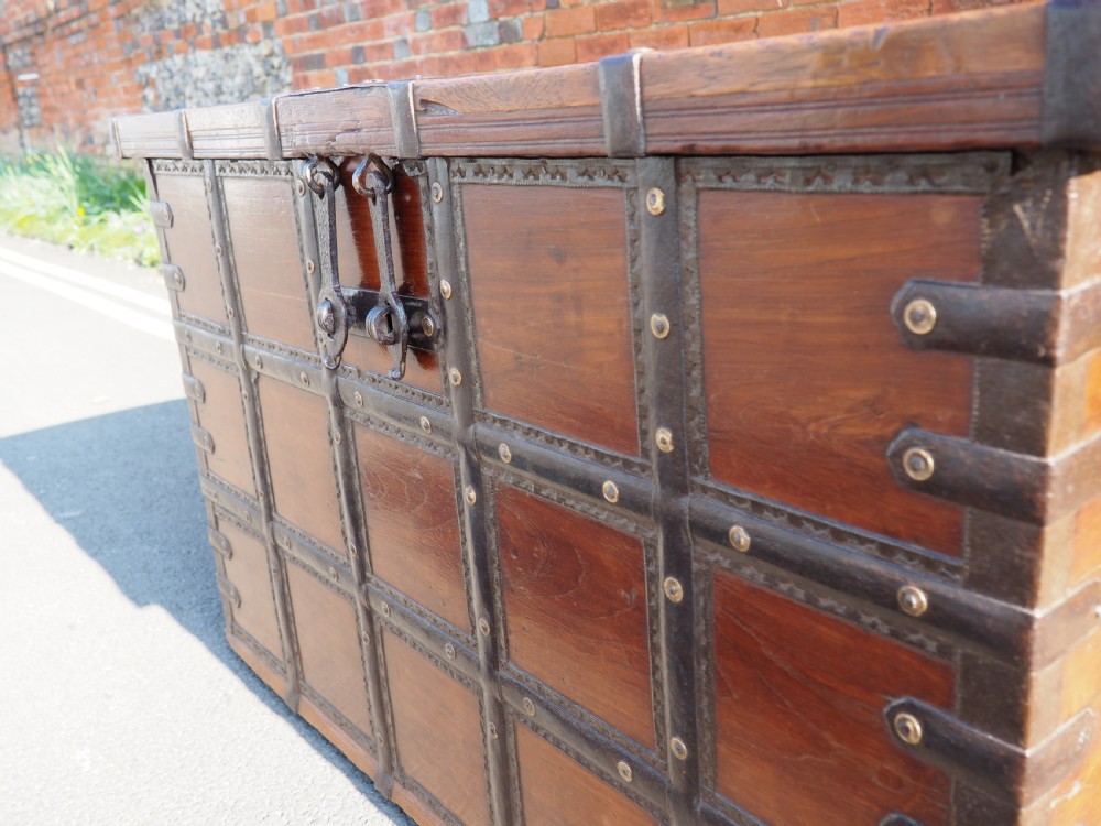 Indian teak trunk View III