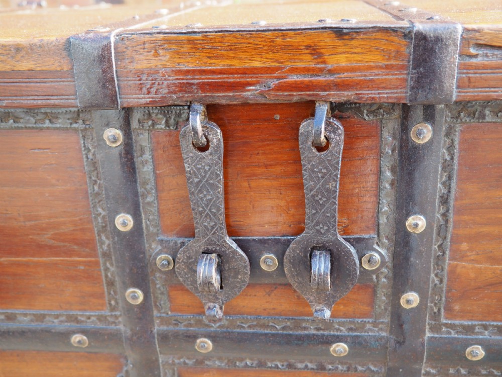 Indian teak trunk View IV
