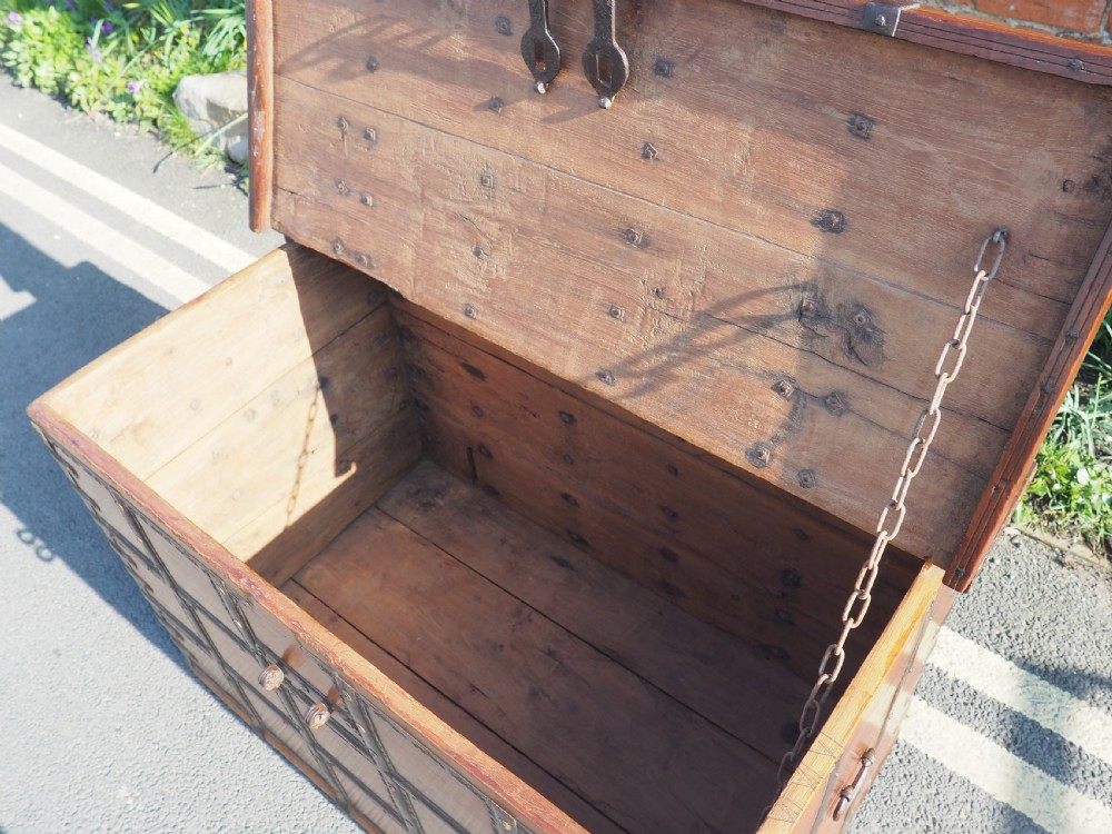 Indian teak trunk View VI