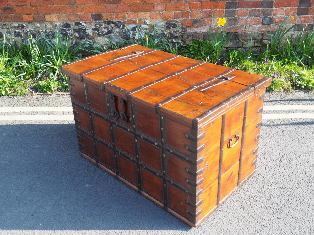 Indian teak trunk View VII